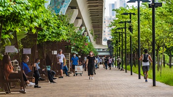 海滨长廊为社区提供有树荫和舒适的步行环境。